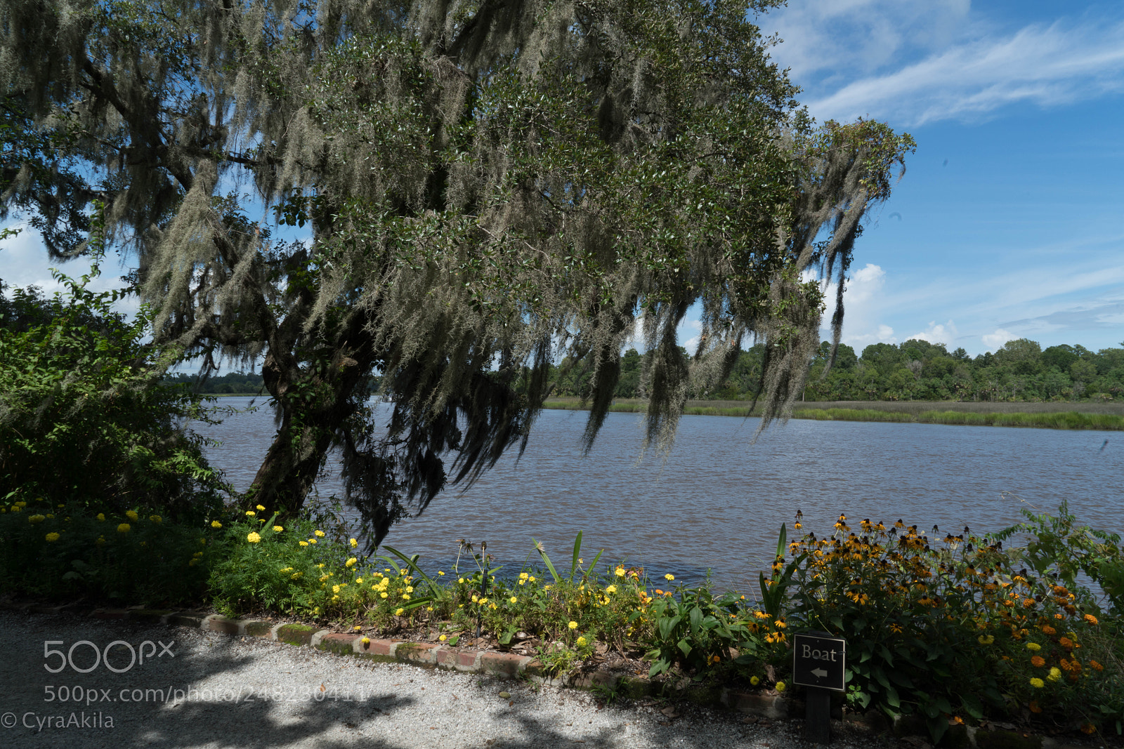 Sony a7R II sample photo. Magnolia plantation photography