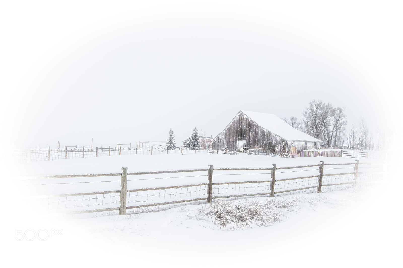 Canon EOS 5DS sample photo. Colorado barn photography