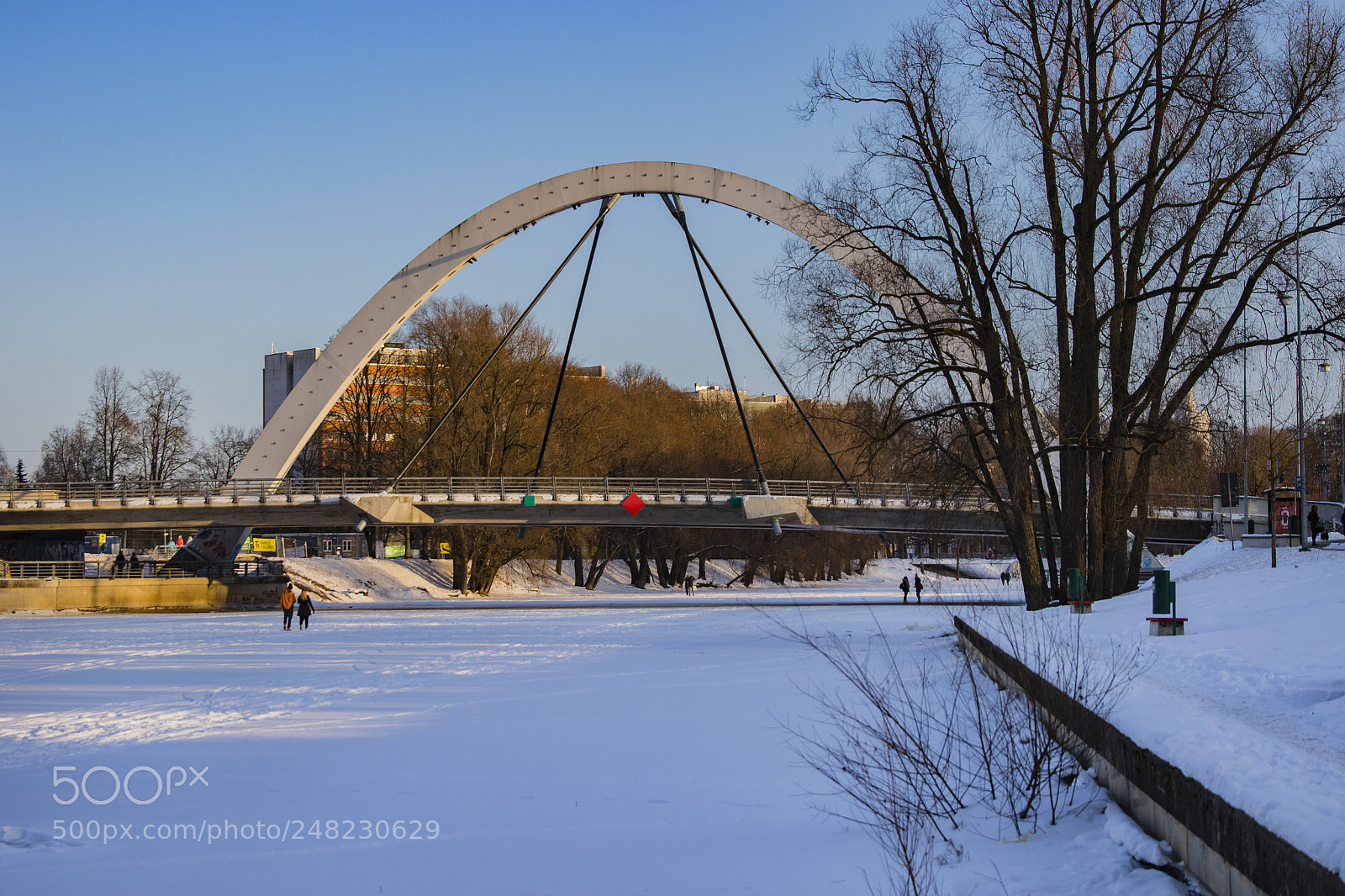 Canon EOS 7D Mark II sample photo. 40617924271.jpg photography