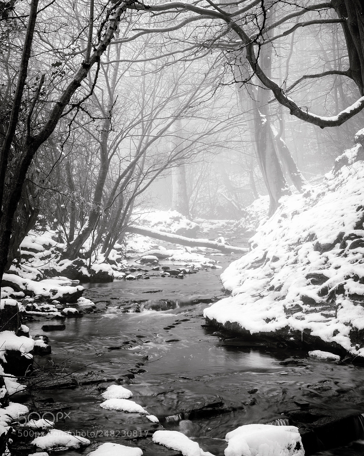 Fujifilm X-T1 sample photo. Judy woods,bradford photography