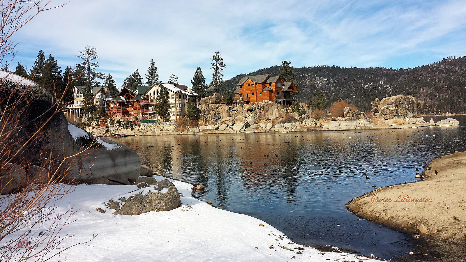 Samsung Galaxy S4 sample photo. Big bear photography