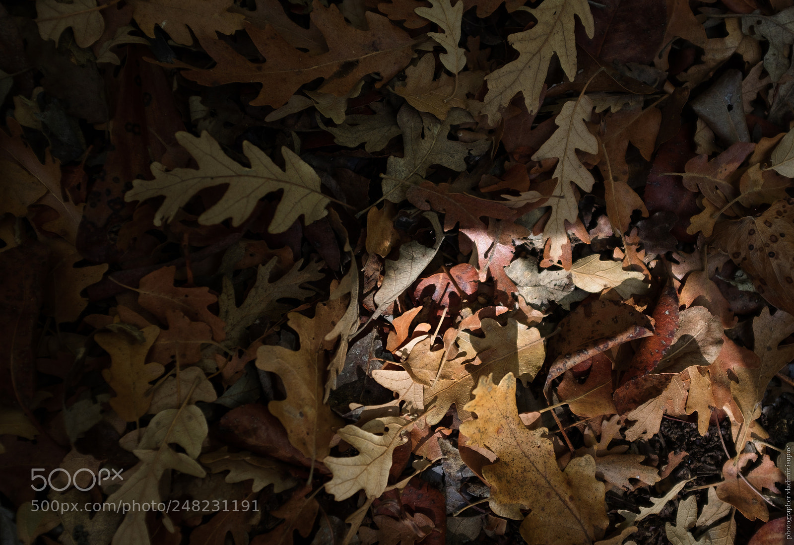 Fujifilm X100S sample photo. Турция photography