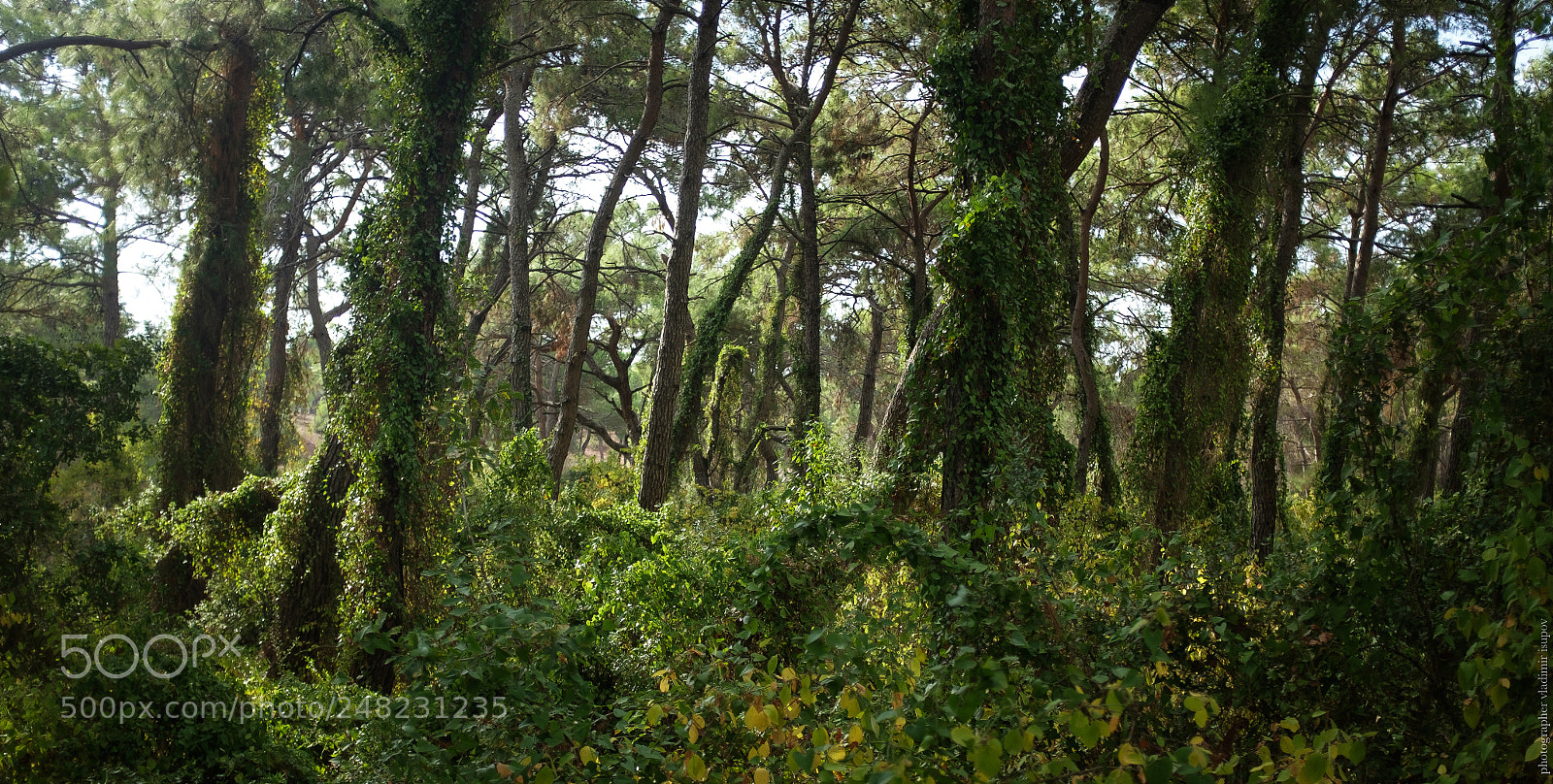 Fujifilm X100S sample photo. Турция photography
