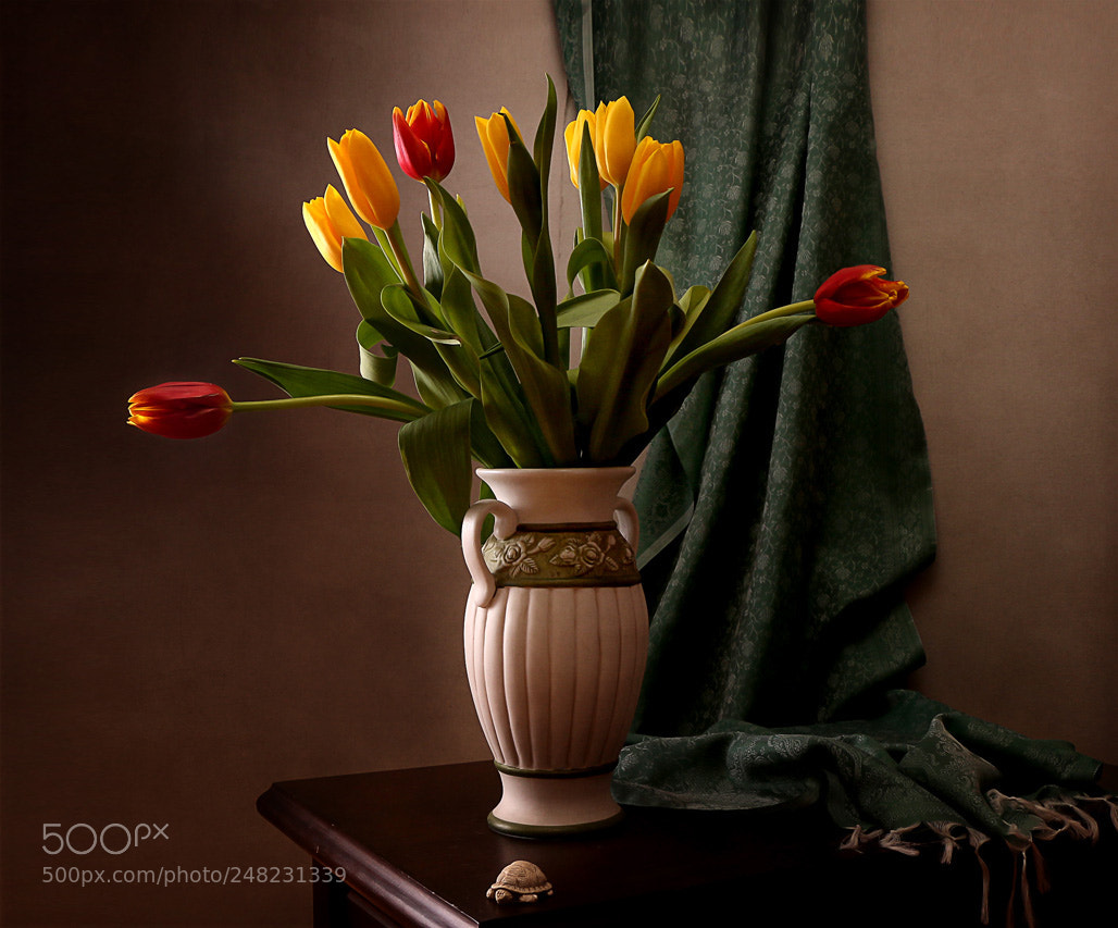 Canon EOS 650D (EOS Rebel T4i / EOS Kiss X6i) sample photo. Тюльпаны photography