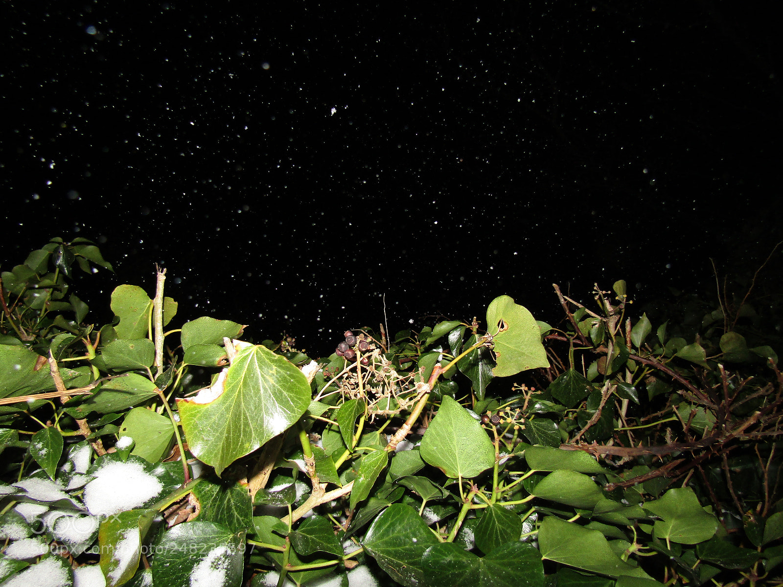 Canon PowerShot SX410 IS sample photo. Night snow photography