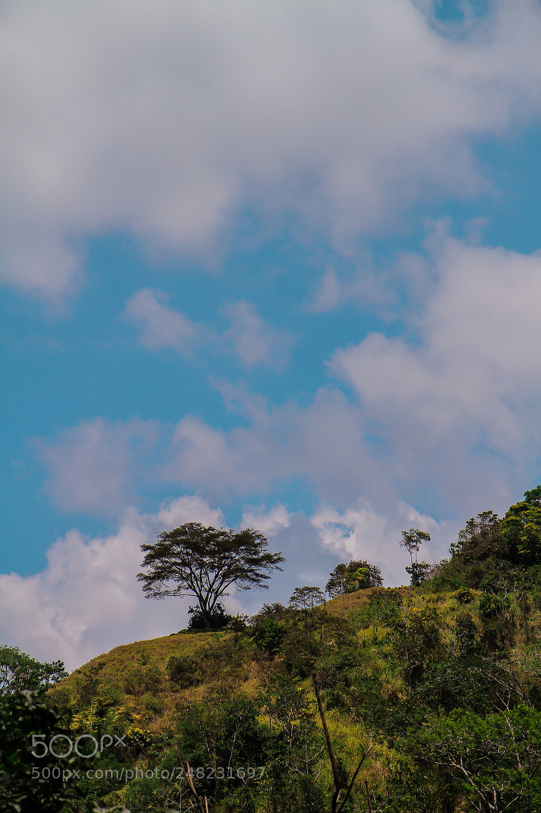 Canon EOS 7D sample photo. Nayuaca | aguaecoco photography