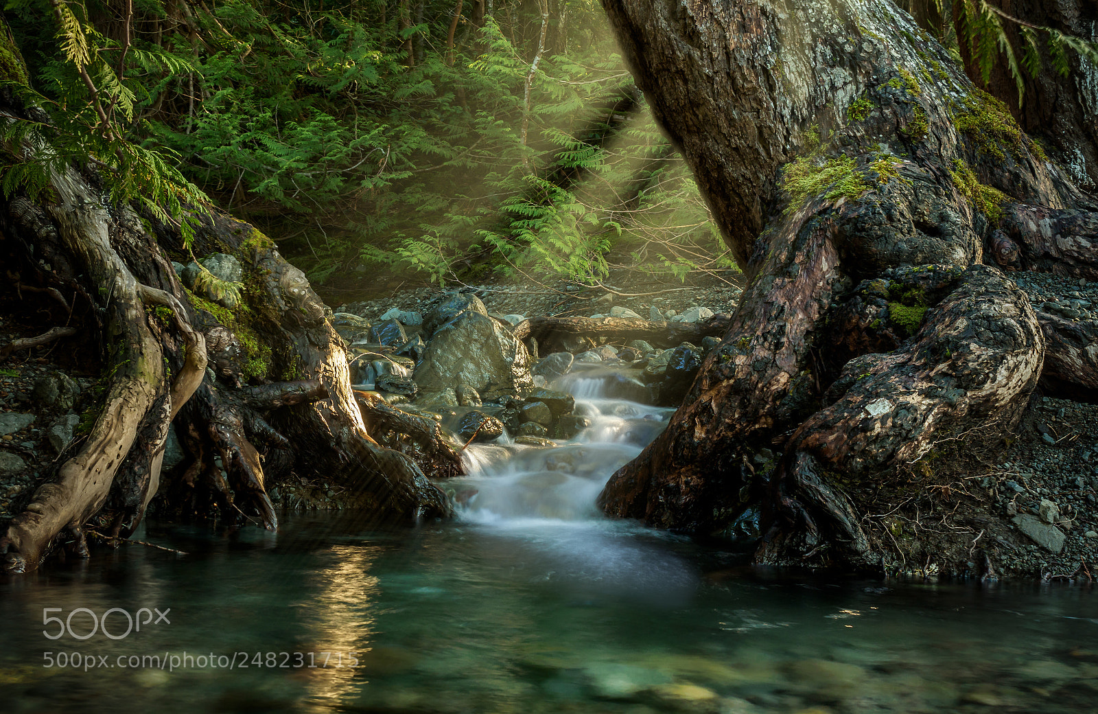 Olympus OM-D E-M1 Mark II sample photo. Hidden waterfall photography