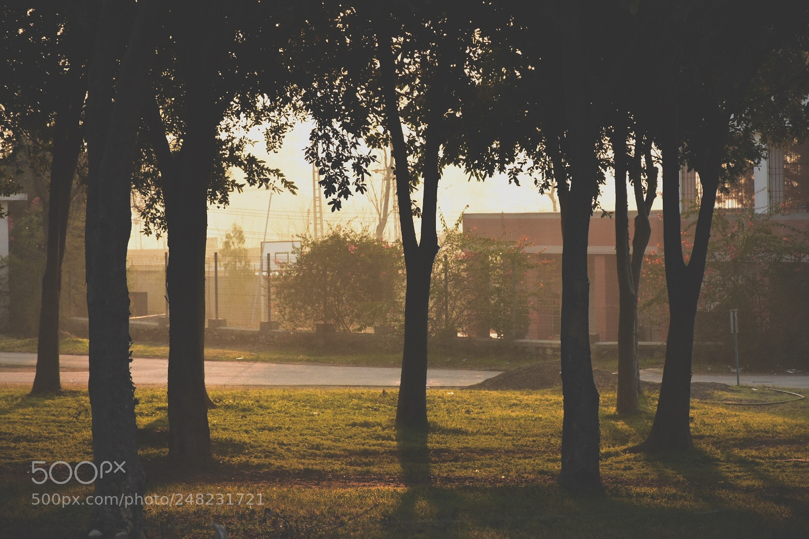 Nikon D7200 sample photo. Sunrise photography