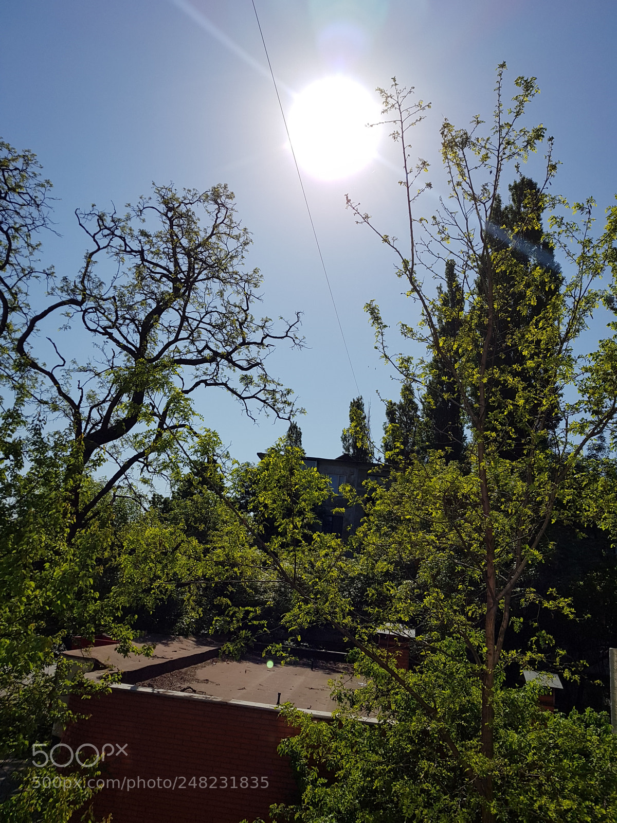 Samsung Galaxy S8 sample photo. The sun photography