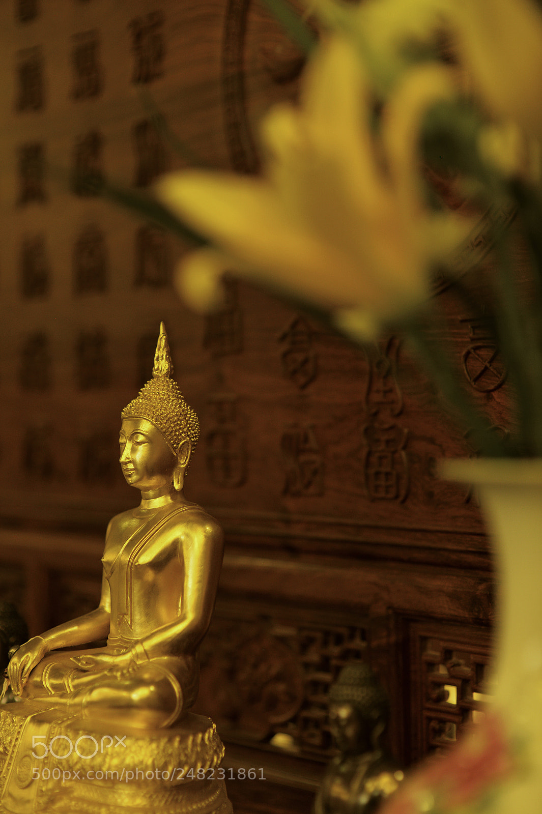 Nikon Df sample photo. 佛在心中莫浪求 photography