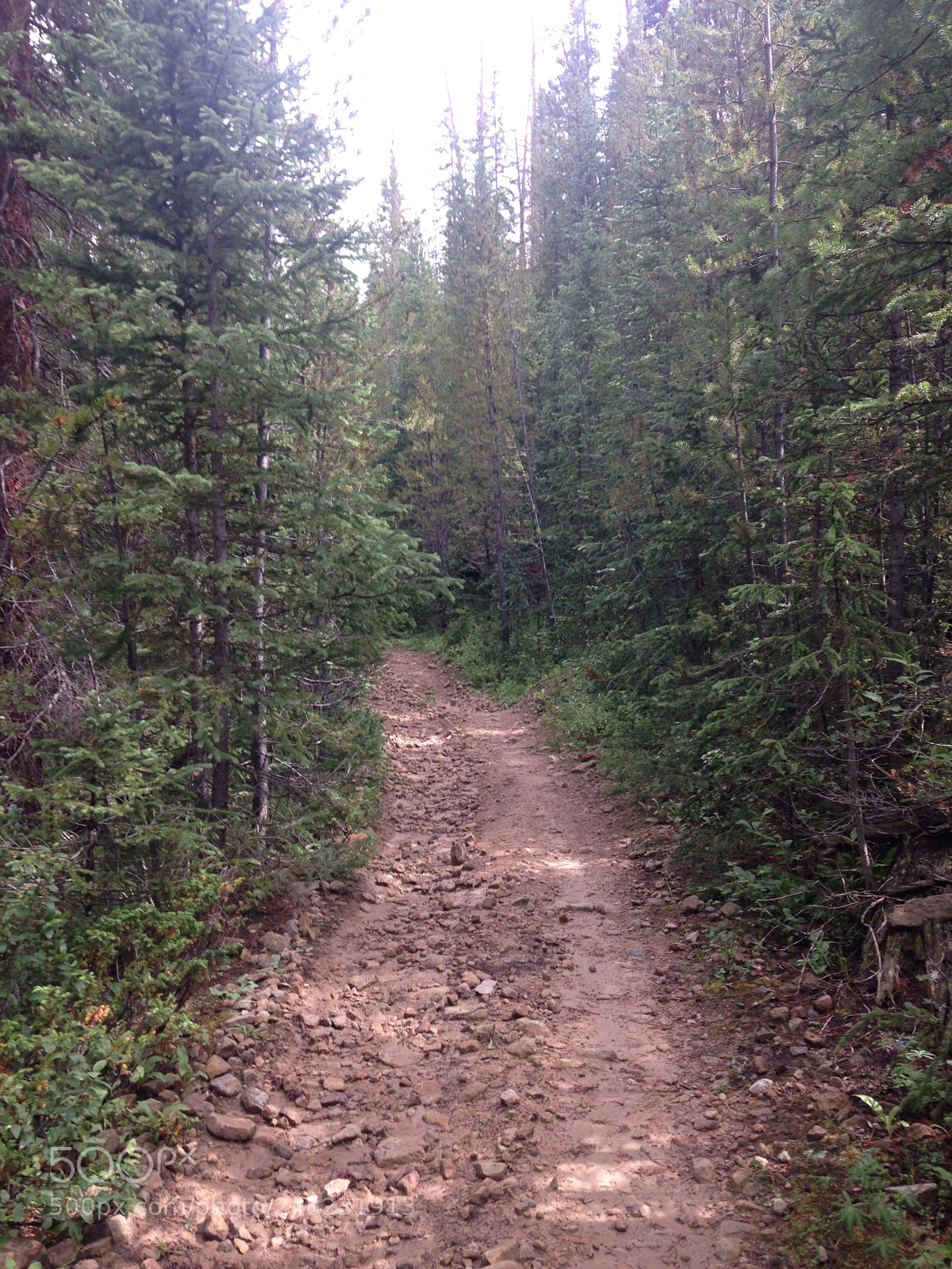 Apple iPhone 5c sample photo. Colorado wilderness photography