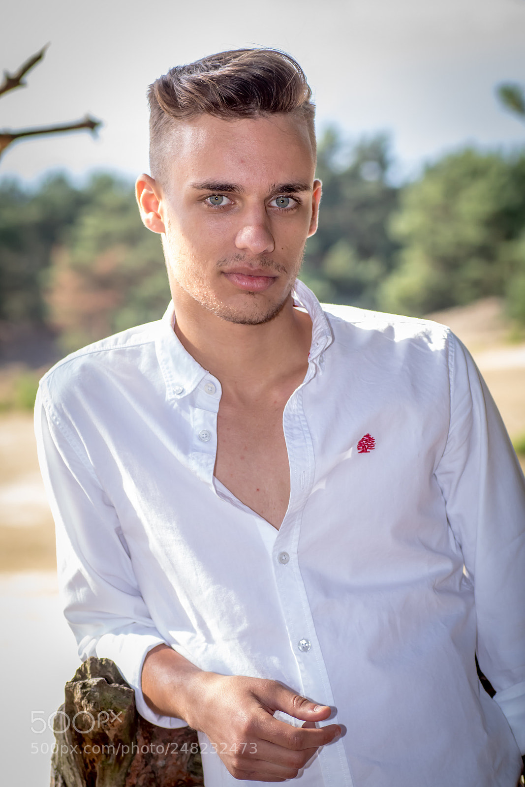 Canon EOS 80D sample photo. Shot in belgium while photography