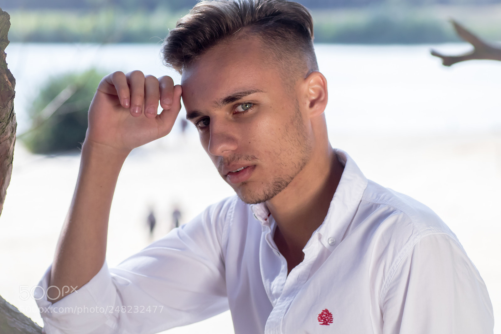 Canon EOS 80D sample photo. Shot in belgium while photography