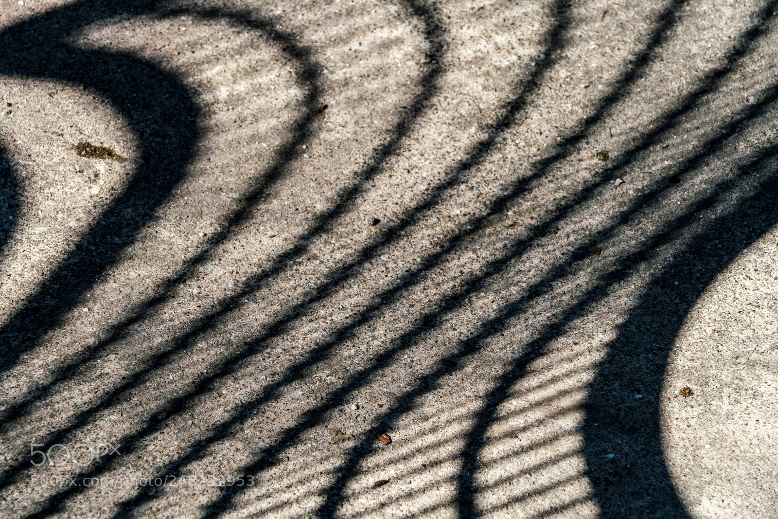 Sony a7R II sample photo. Misformed shadow photography