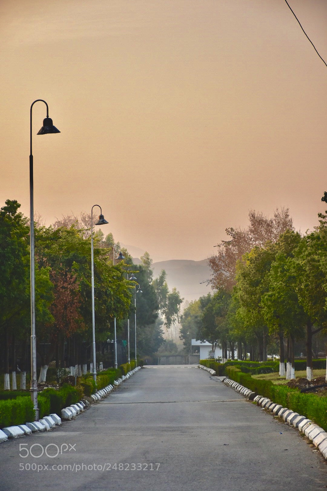Nikon D7200 sample photo. Untitled photography