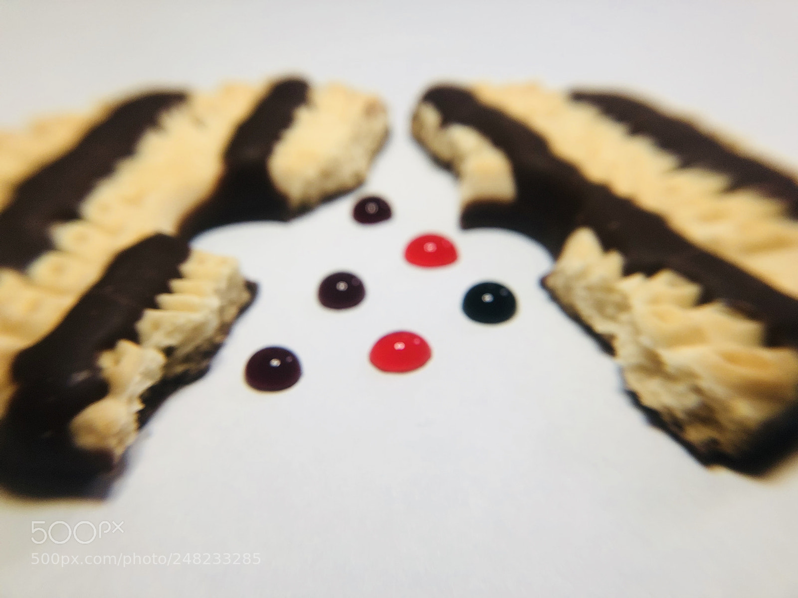 Apple iPhone 8 Plus sample photo. Cookie again! photography