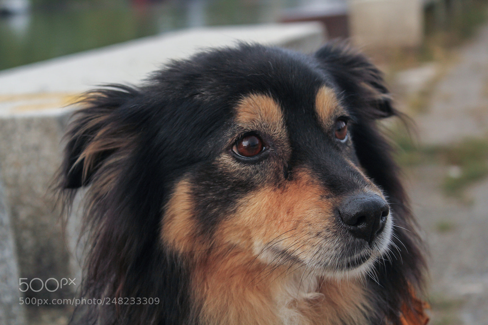 Canon EOS 550D (EOS Rebel T2i / EOS Kiss X4) sample photo. Img photography