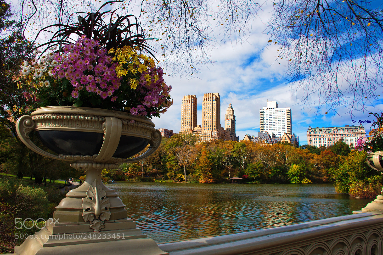 Nikon D7200 sample photo. Central park new york photography