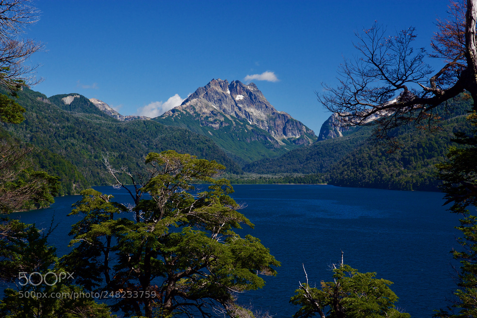 Nikon D7100 sample photo. A stop on the photography