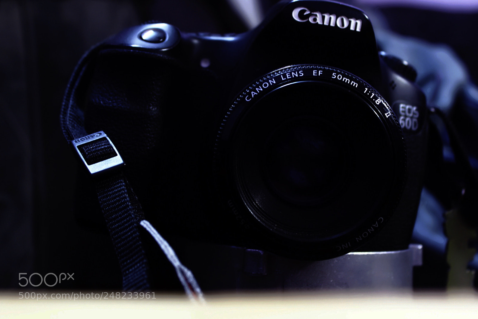 Canon EOS 600D (Rebel EOS T3i / EOS Kiss X5) sample photo. Untitled photography