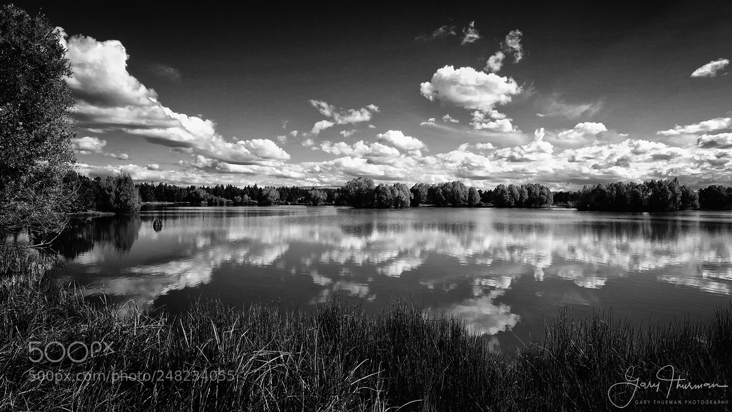 Canon EOS 7D sample photo. Reflection pond photography