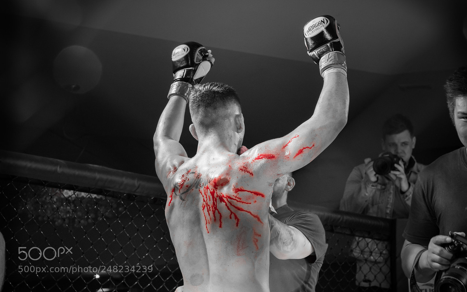 Nikon D810 sample photo. Fighter with hands raised photography