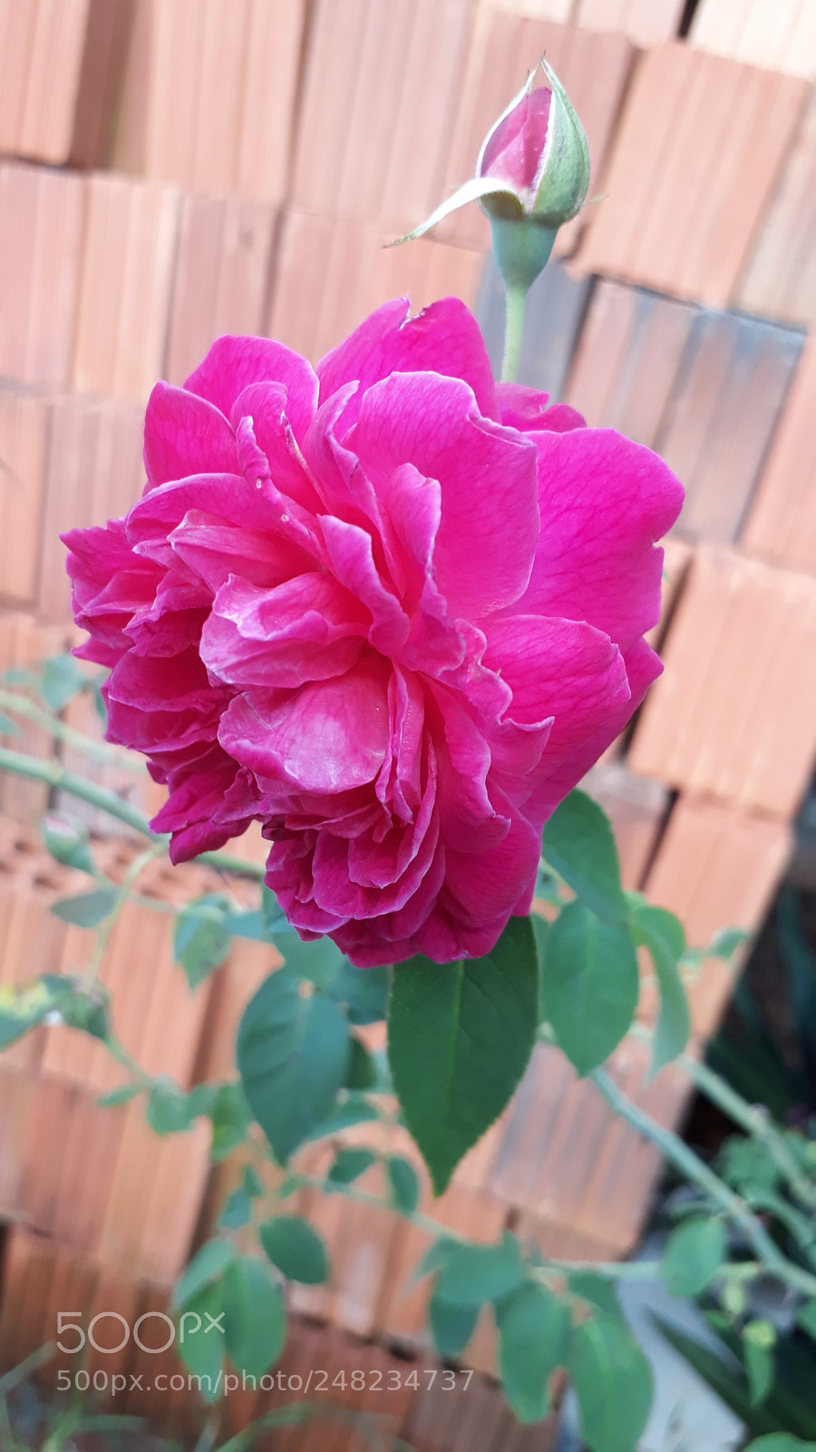 Samsung Galaxy J7 Prime sample photo. Untitled photography