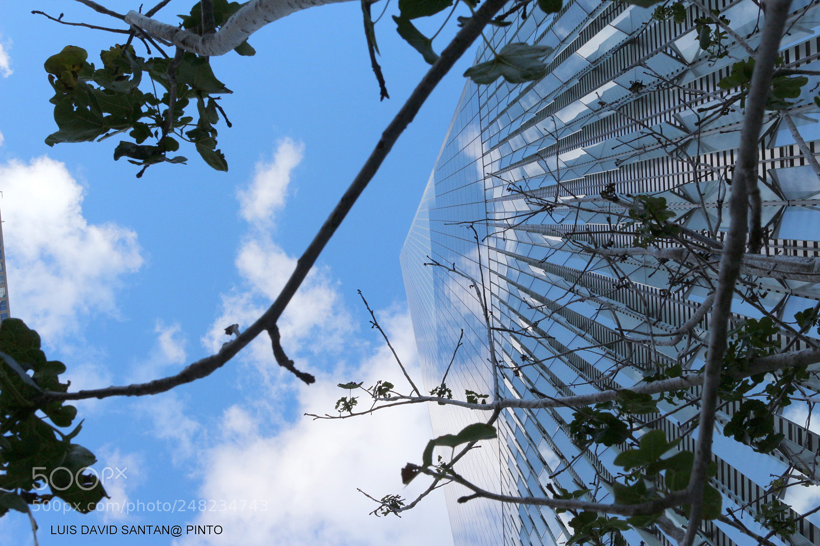 Canon EOS 700D (EOS Rebel T5i / EOS Kiss X7i) sample photo. One world trade center photography