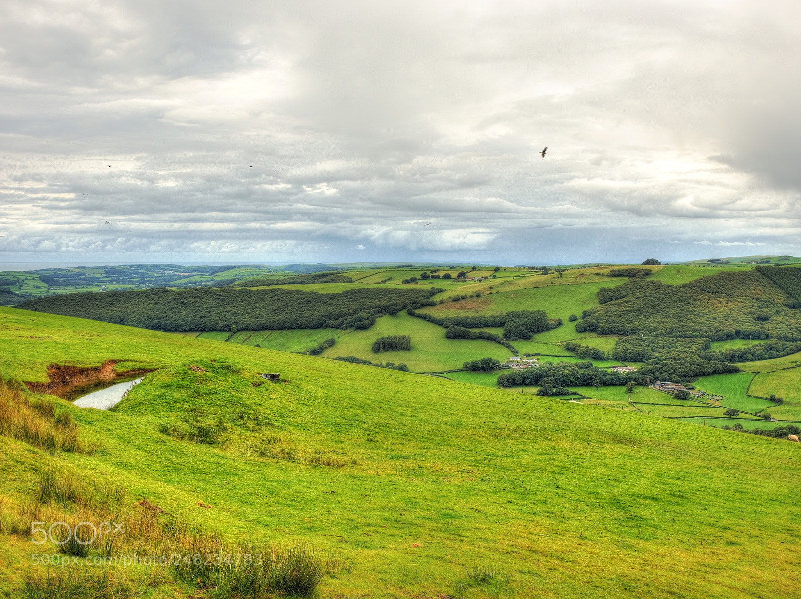 Olympus OM-D E-M1 sample photo. Welsh rural beauty photography