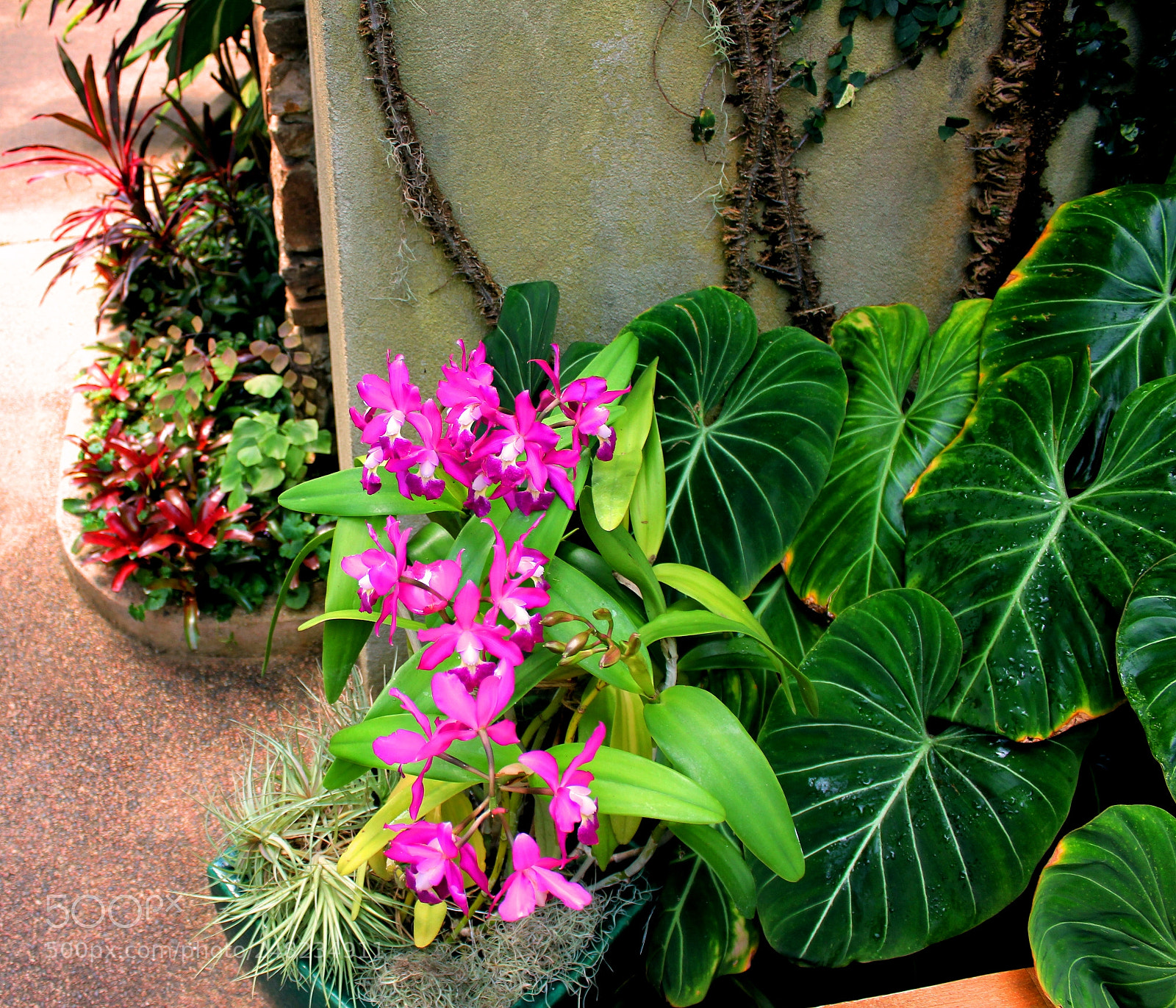 Canon EOS 550D (EOS Rebel T2i / EOS Kiss X4) sample photo. Photo's by cynthia photography