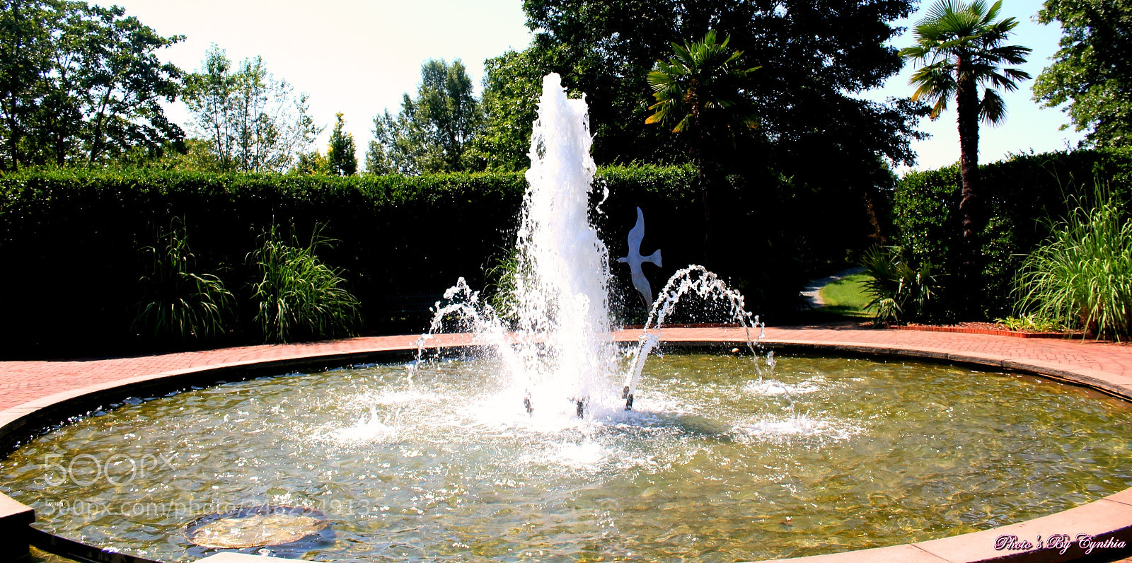 Canon EOS 550D (EOS Rebel T2i / EOS Kiss X4) sample photo. Photo's by cynthia photography