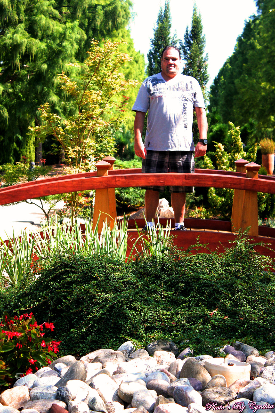 Canon EOS 550D (EOS Rebel T2i / EOS Kiss X4) sample photo. Photo's by cynthia photography