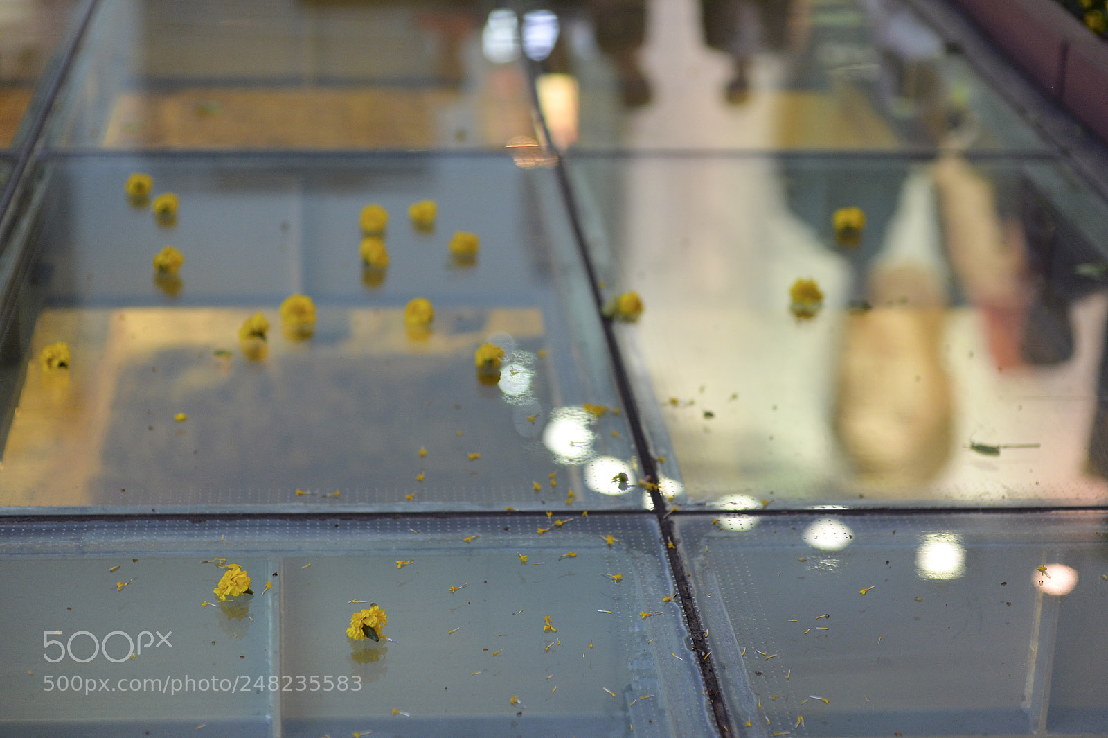 Nikon Df sample photo. 北京路古道 photography