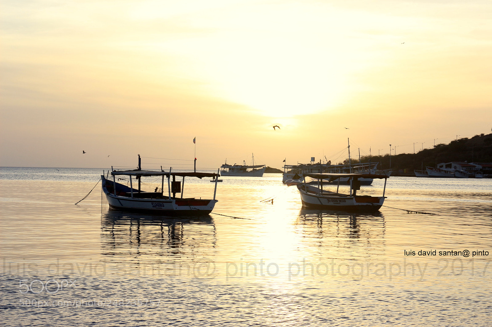Canon EOS 700D (EOS Rebel T5i / EOS Kiss X7i) sample photo. Another day ending photography