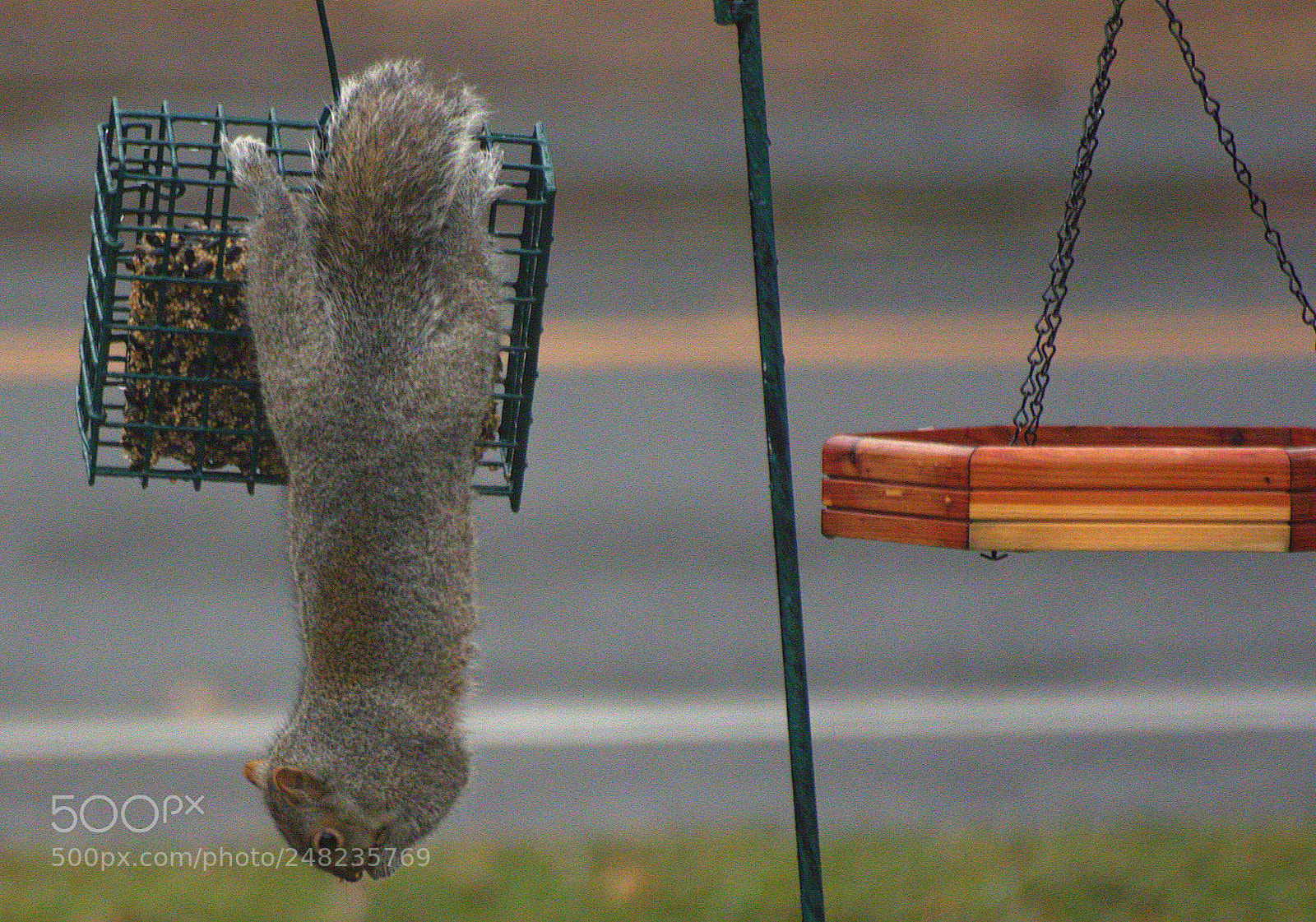 Nikon D7100 sample photo. Upside dine. photography