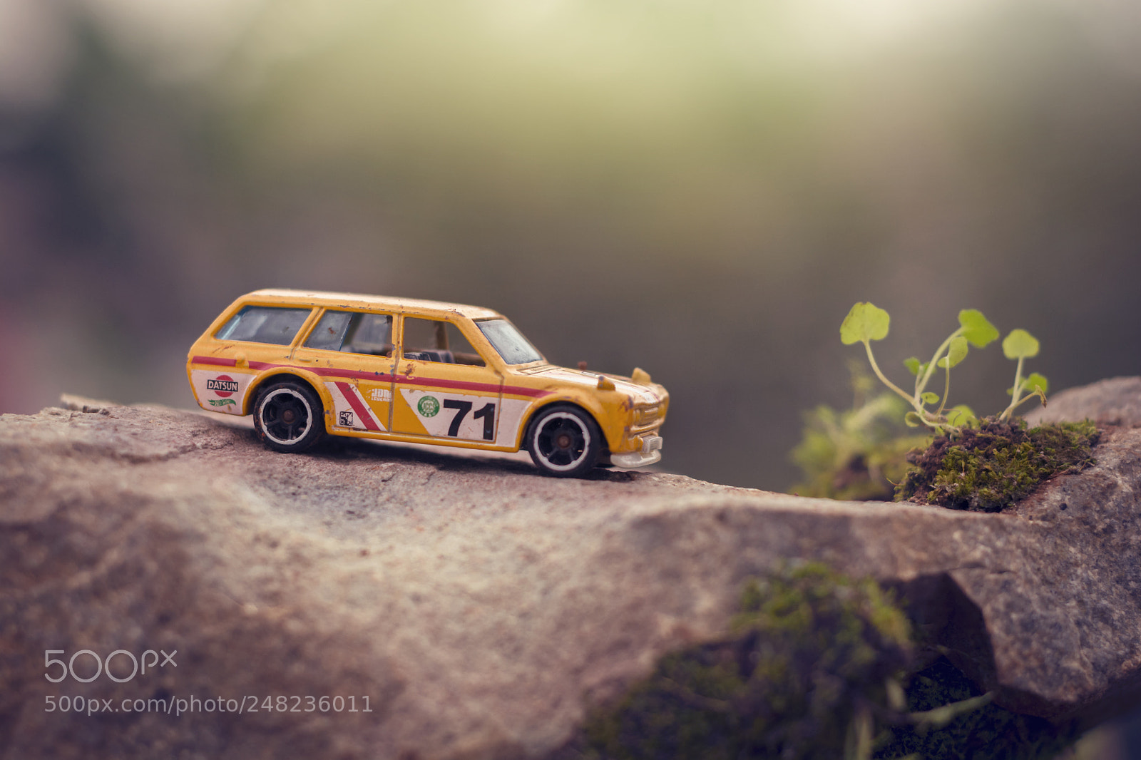 Nikon D7100 sample photo. Datsun photography