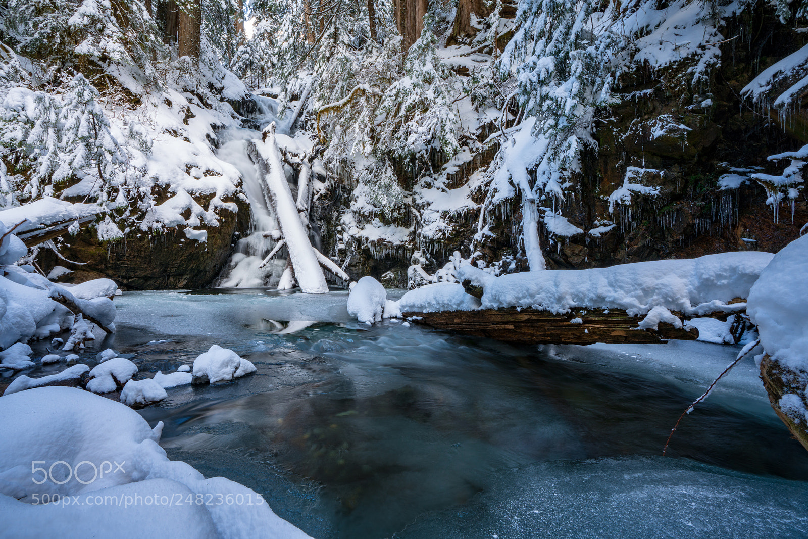 Sony a7R III sample photo. Twentytwo creek falls photography