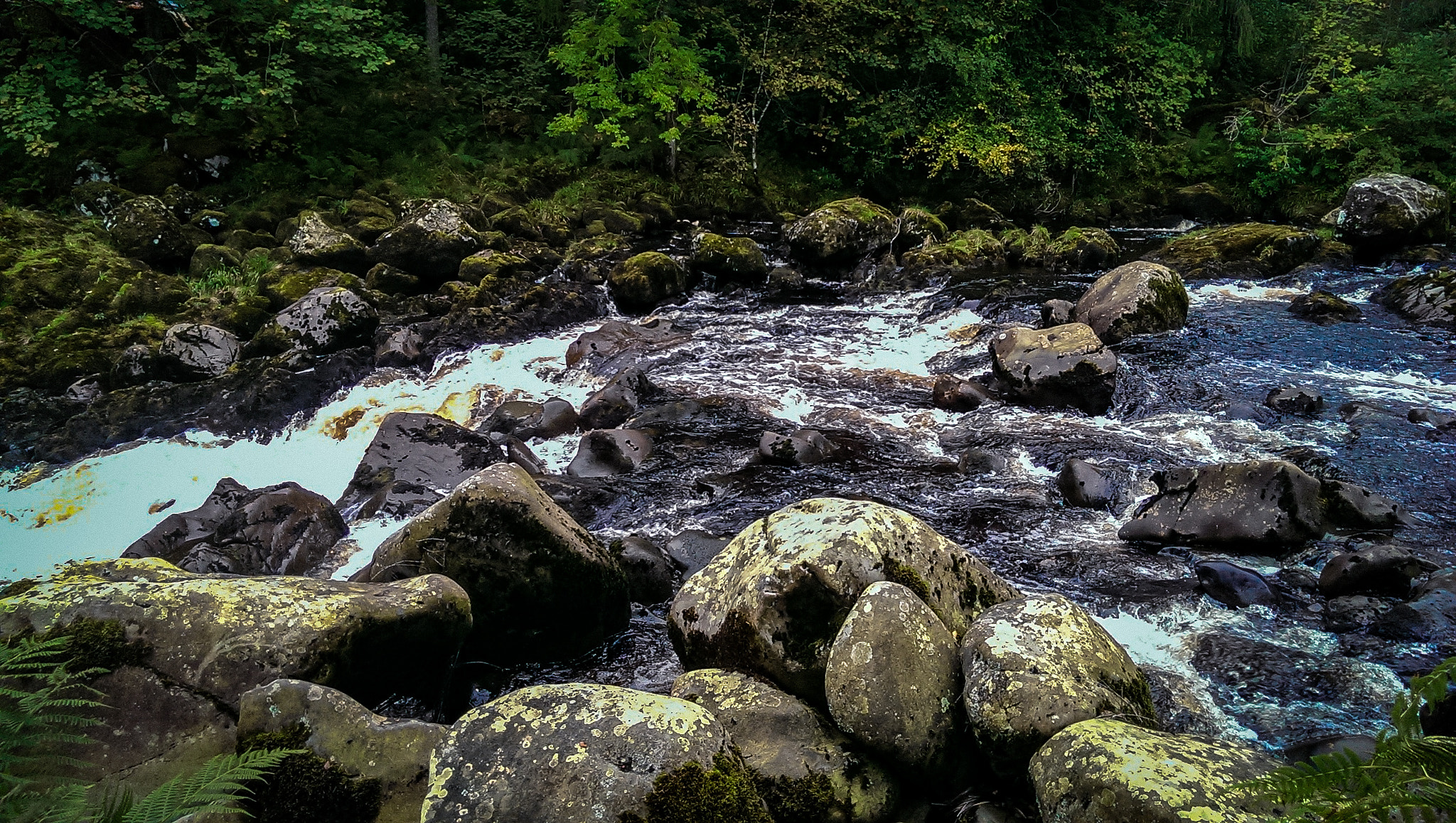HTC ONE sample photo. 40622063021.jpg photography