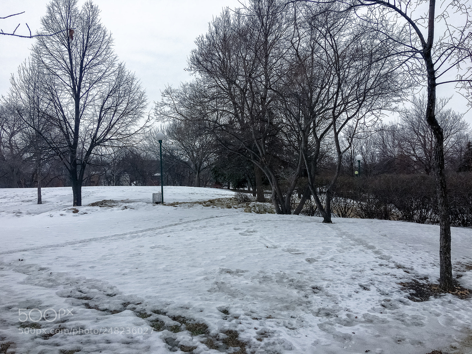 Apple iPhone 6s Plus sample photo. 39724796265.jpg photography