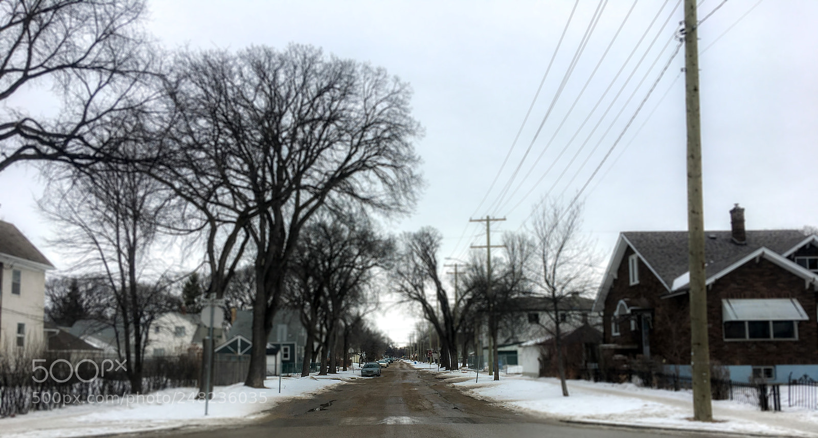 Apple iPhone 6s Plus sample photo. 40579671482.jpg photography