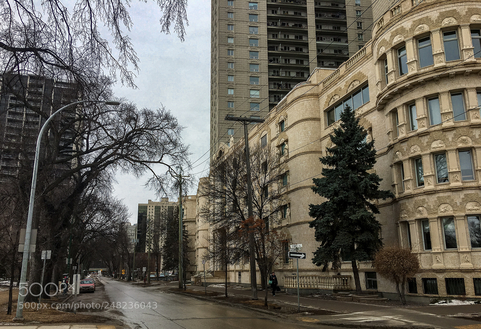 Apple iPhone 6s Plus sample photo. 38810298330.jpg photography