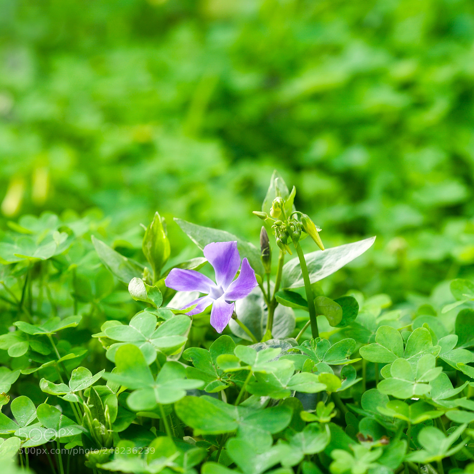 Sony a9 sample photo. You live your life photography