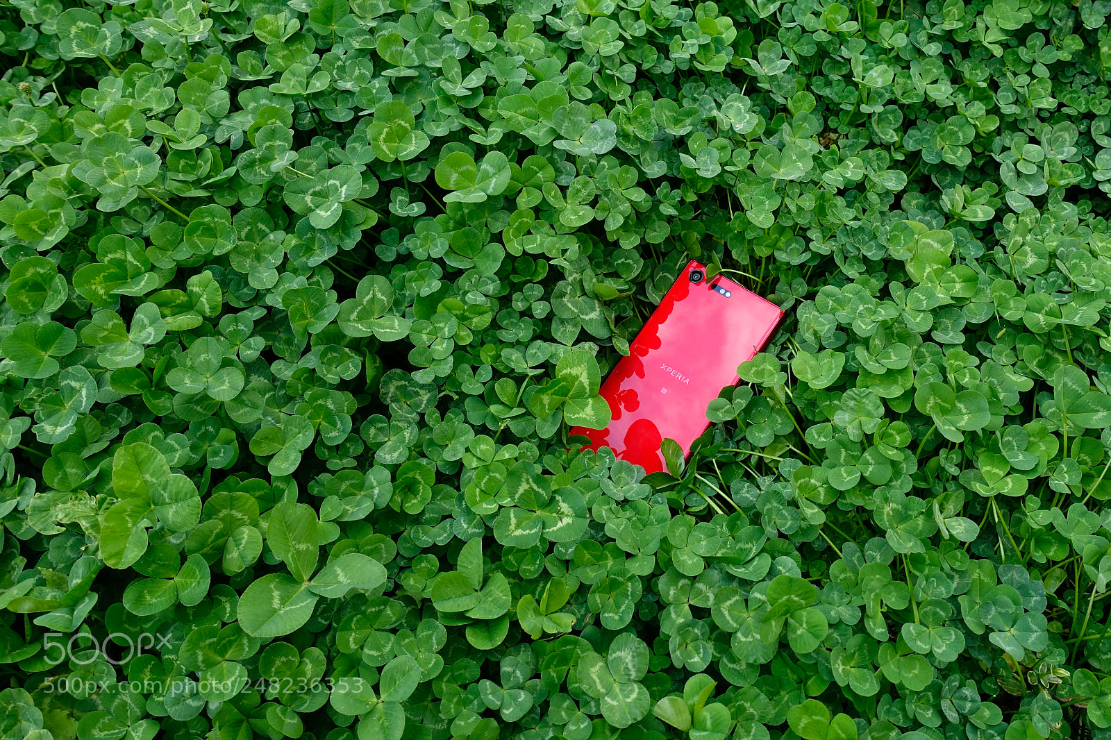 Sony Cyber-shot DSC-RX100 III sample photo. Xperia photography