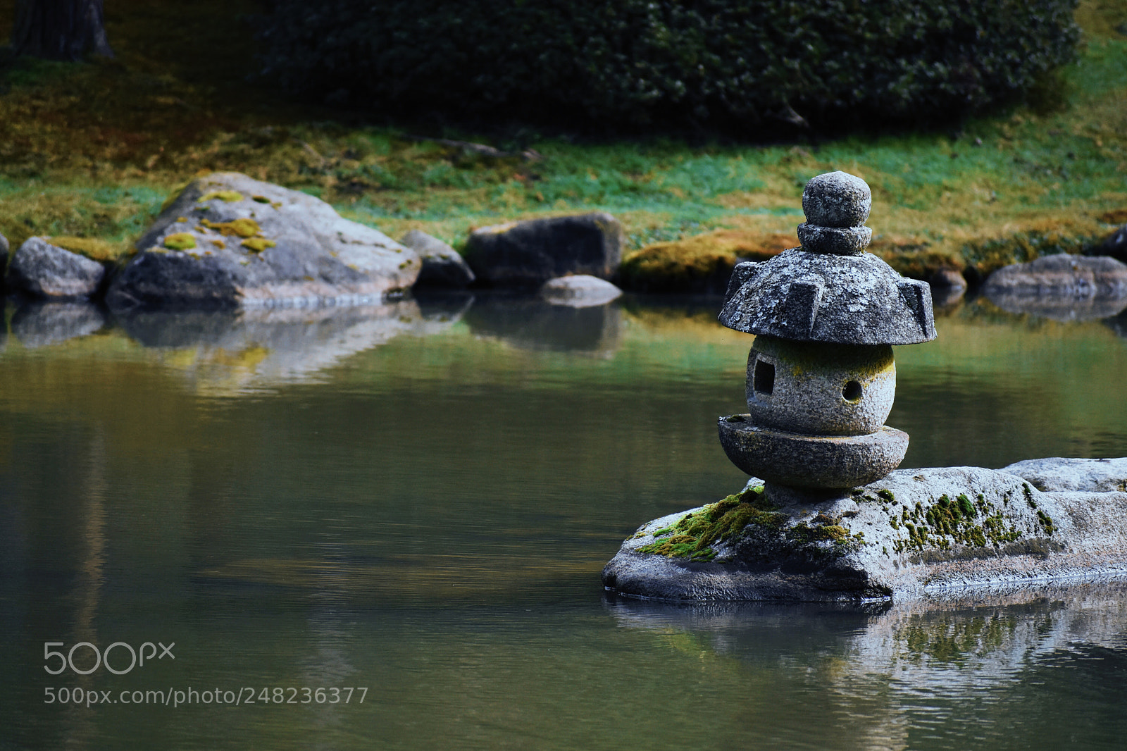 Nikon D7200 sample photo. リラックス. photography