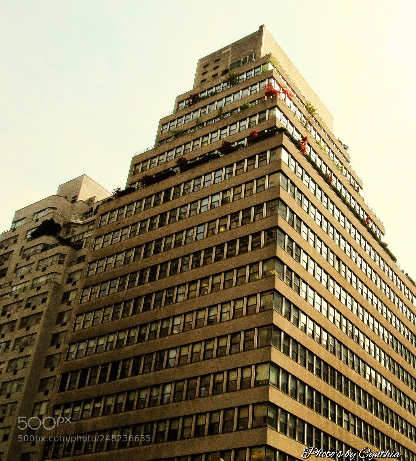 Canon PowerShot SX530 HS sample photo. Architecture photography