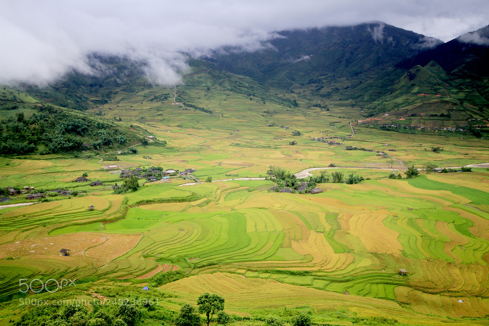 Canon EOS 7D sample photo. Img photography