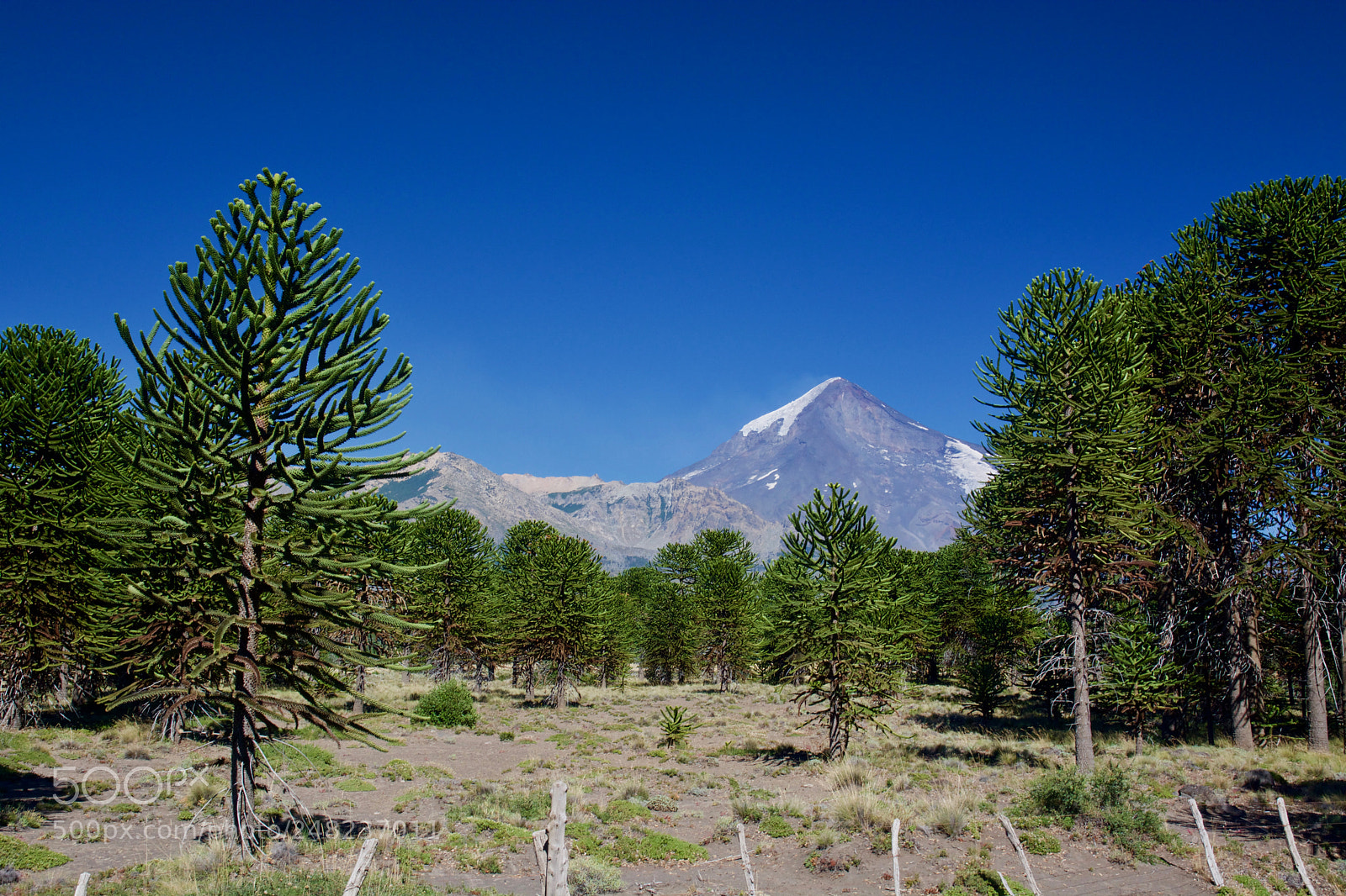 Nikon D7100 sample photo. Highlights between argentina and photography