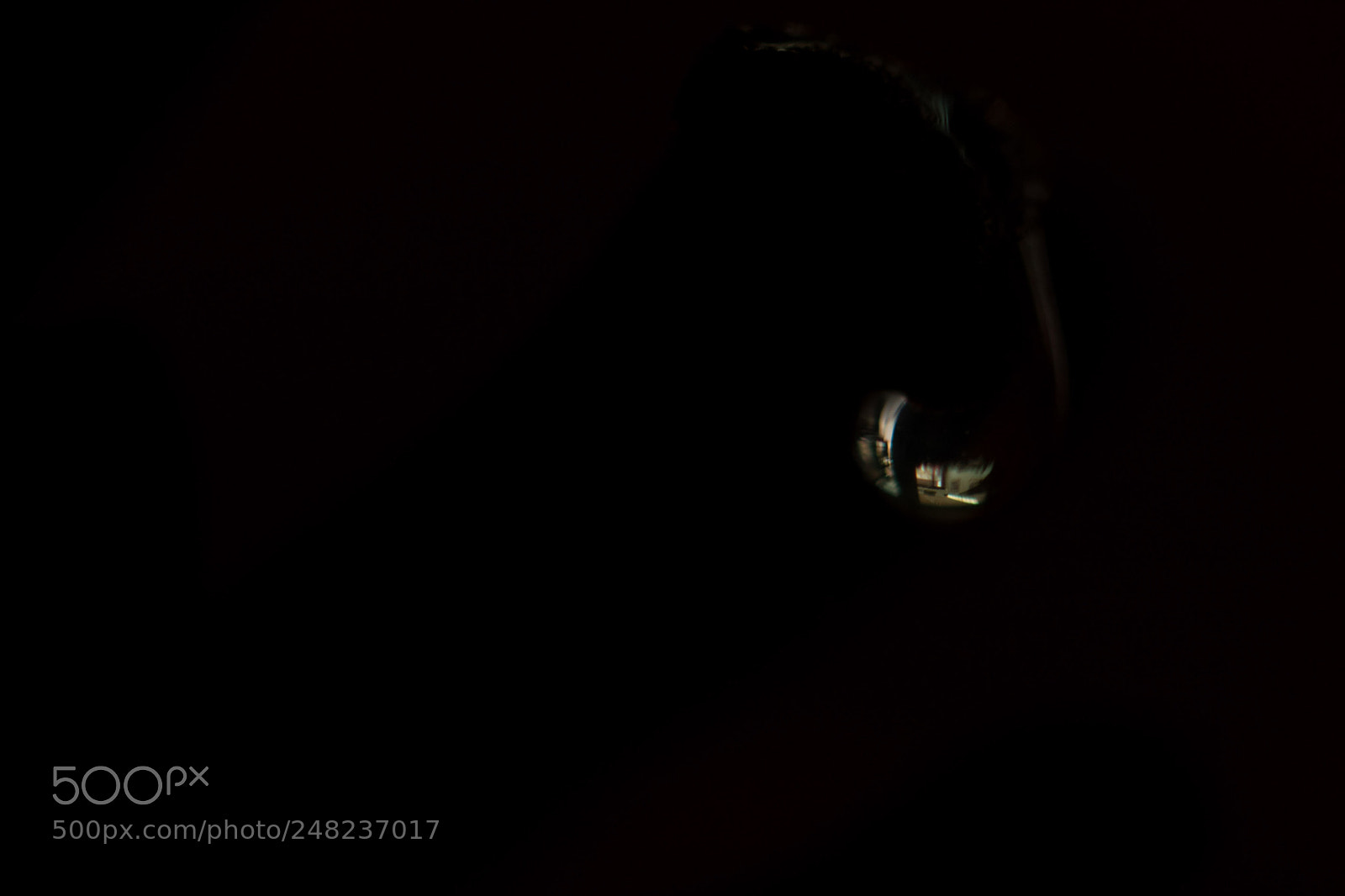 Canon EOS 7D Mark II sample photo. Miniworld photography