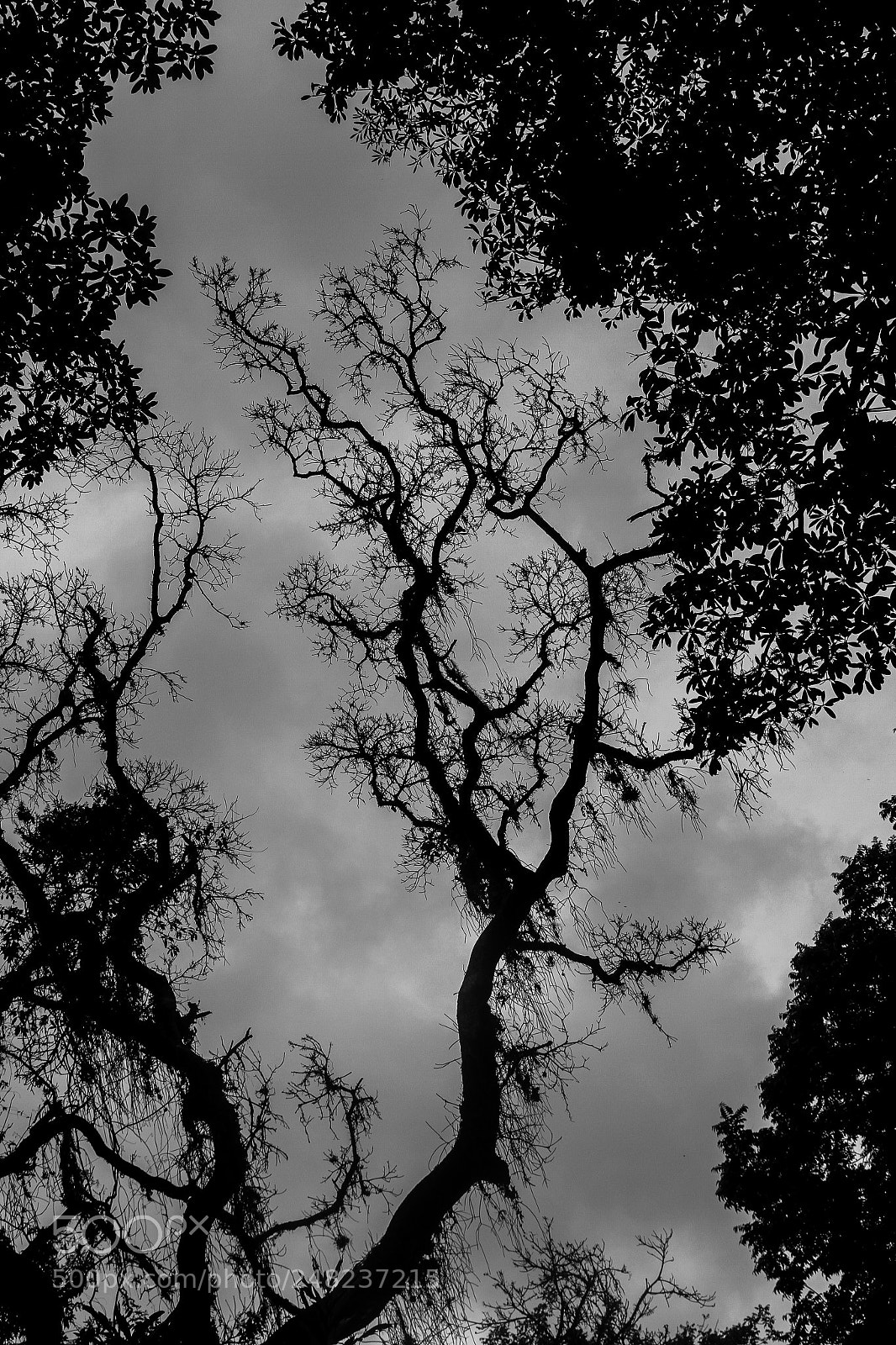 Canon EOS 7D sample photo. Shadows photography