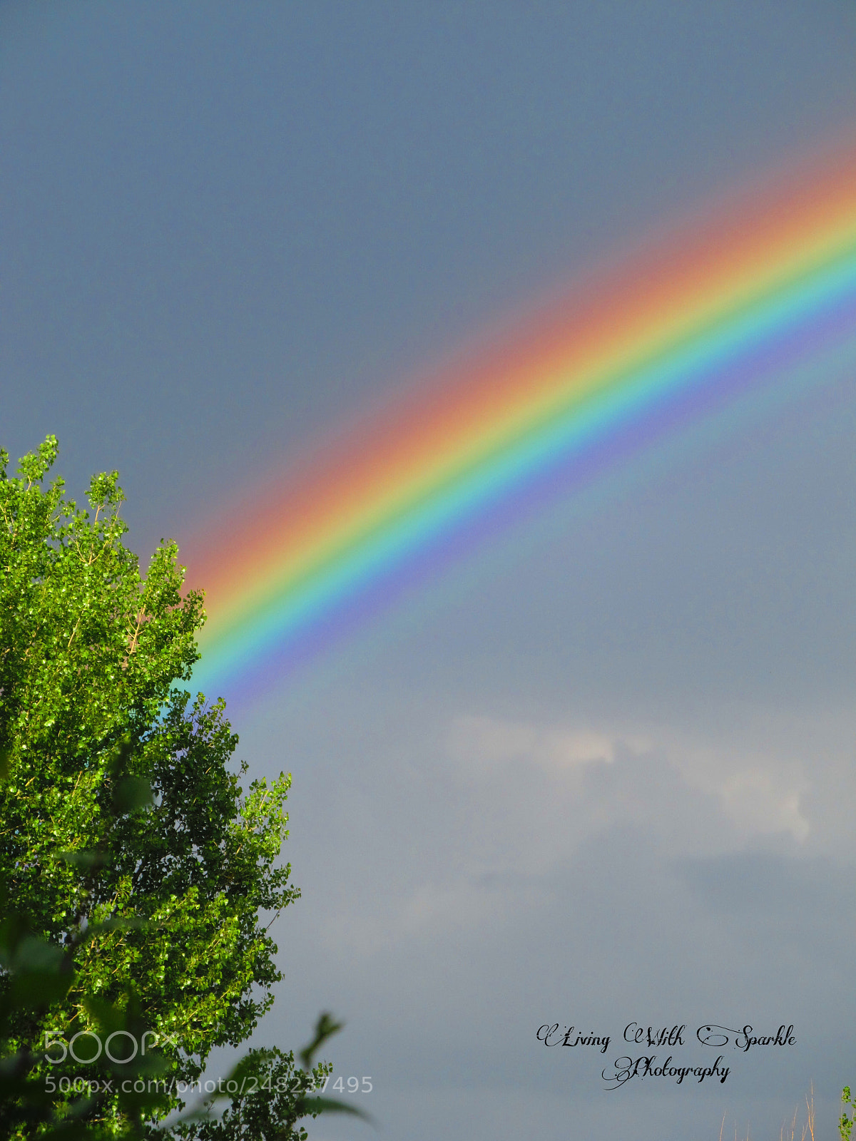 Canon PowerShot SX130 IS sample photo. Rainbow photography